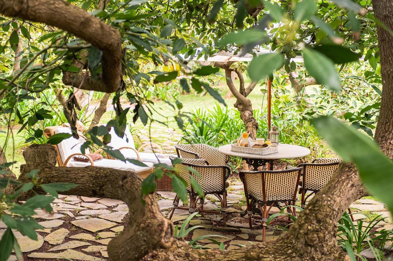 Homeforguest Cosy Rural Flat El Romero With Large Gardens Tacoronte Bagian luar foto