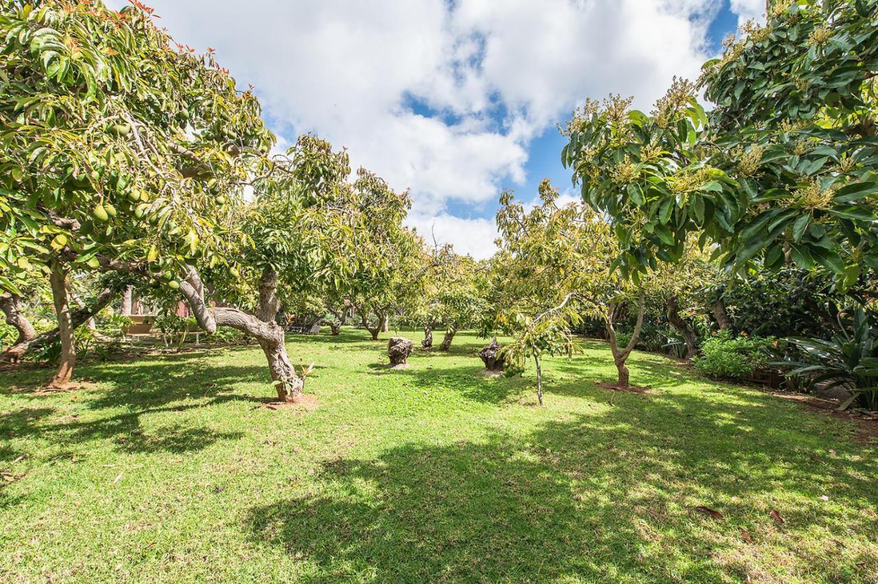 Homeforguest Cosy Rural Flat El Romero With Large Gardens Tacoronte Bagian luar foto